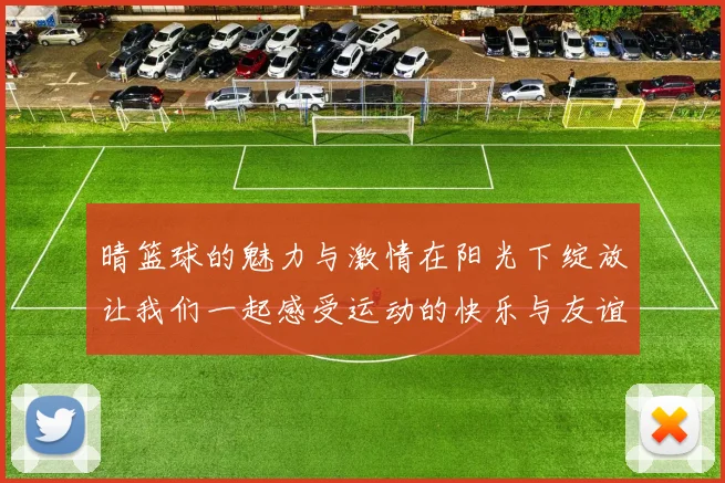 晴篮球的魅力与激情在阳光下绽放让我们一起感受运动的快乐与友谊的力量