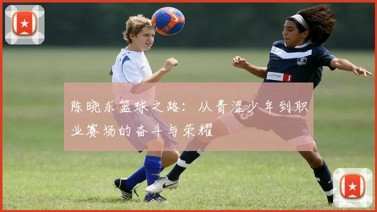 陈晓东篮球之路：从青涩少年到职业赛场的奋斗与荣耀