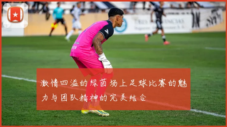 激情四溢的绿茵场上足球比赛的魅力与团队精神的完美结合