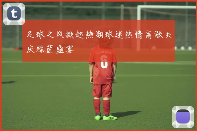 足球之风掀起热潮球迷热情高涨共庆绿茵盛宴