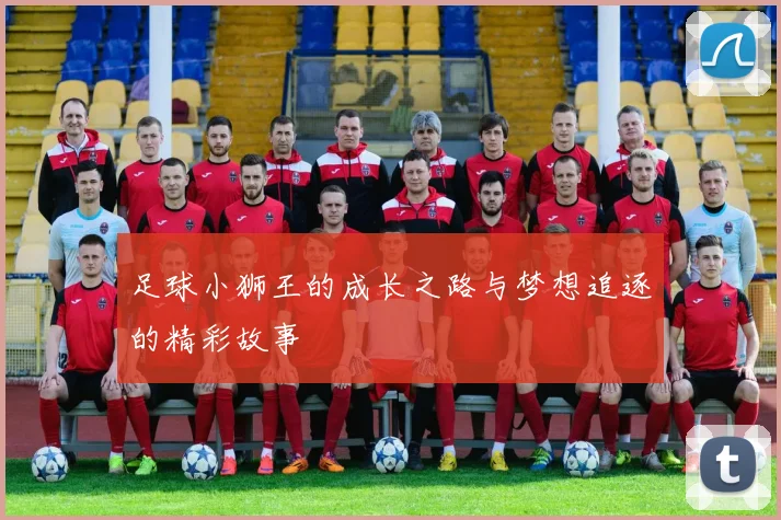 足球小狮王的成长之路与梦想追逐的精彩故事