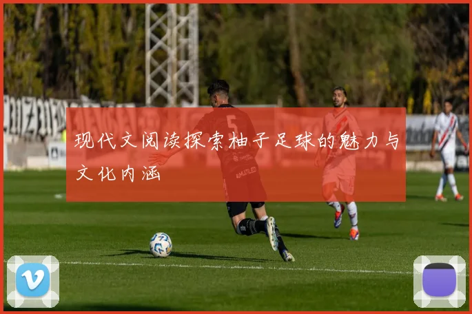 现代文阅读探索柚子足球的魅力与文化内涵